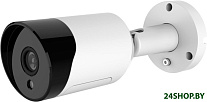 Картинка IP-камера Orient IP-504