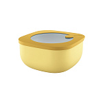 Картинка Контейнер Guzzini Store&More 170700165