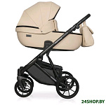 Картинка Детская универсальная коляска RIKO Montana Ecco 2 в 1 (15/Ivory)