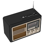 Картинка Радиоприемник Ritmix RPR-070