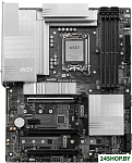 Pro Z890-P WiFi