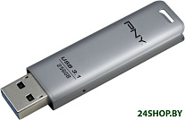 Elite Steel 3.1 256GB (серебристый)