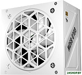 NGDP Gold 850W HA-850BA4-WH