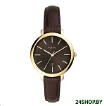Картинка Наручные часы Fossil Jacqueline ES4969