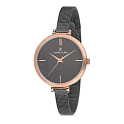 Наручные часы Daniel Klein DK11757-5