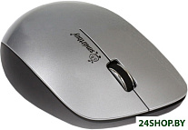 Мышь SmartBuy 309AG Silver/Black (SBM-309AG-SK)