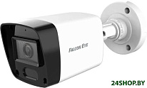 FE-IB2-30