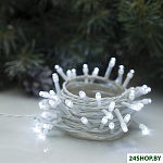 Нить 50 LED 5м (белый) 3556772