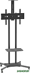 PT-STAND-12