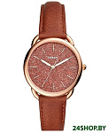 Картинка Наручные часы Fossil Tailor ES4420