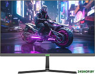 EA241S Pro