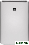 KIN-41RW