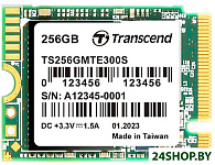 400S 256GB TS256GMTE400S