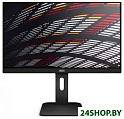 Монитор AOC X24P1