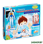 Картинка Настольная игра Bondibon Секреты человеческого тела [ВВ0927]