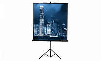 Картинка Проекционный экран Lumien Master View 127x127 (LMV-100101)