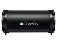 Картинка Беспроводная колонка Canyon CNE-CBTSP5