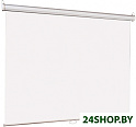 Проекционный экран Lumien Eco Picture (LEP-100101)