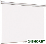 Картинка Проекционный экран Lumien Eco Picture (LEP-100101)