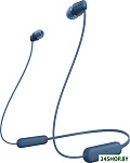 WI-C100 (синий)