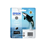Картинка Картридж EPSON T7607 Light black (C13T76074010)