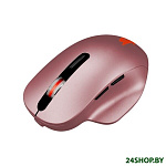 Картинка Мышь Jet.A R300G (розовый)