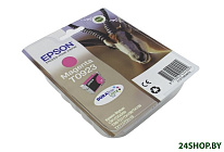 Картинка Картридж EPSON T0923 T09234A/T10834A Magenta