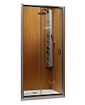 Картинка Душевая дверь Radaway Premium Plus DWJ 120 [33313-01-06N]