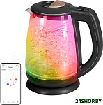 Картинка Электрочайник Redmond SkyKettle RK-G233S