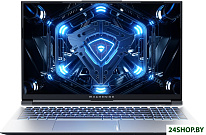 Light 15C 2023 L15C-i513500H468Q240HS160BY