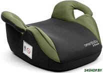 Spector AB222007SSeZ/11 (серый/зеленый)