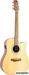RGI-01-CE