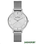 Картинка Наручные часы Skagen SKW2149