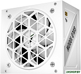 NGDP Gold 1000W HA-1000BA4-WH