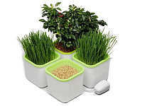 Картинка Проращиватель Здоровья клад X4