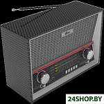 Картинка Радиоприемник Ritmix RPR-102 (BLACK)