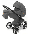 Картинка Универсальная коляска Ray Ultra Silver (2 в 1, 02)
