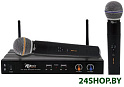 Микрофонная система беспроводная Ritmix RWM-221 black