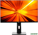 Моноблок ТЕСЛА P24BP 2116500