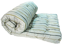 Картинка Матрас ватный GREEN GLADE 120х190х8 (РВ/Тик)