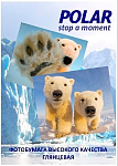 Картинка Фотобумага Polar глянцевая A4, 200 г/м2, 20 л [A4G832320]