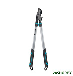 Картинка Сучкорез Gardena EnergyCut 750B (12007-20)