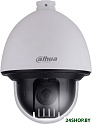 IP-камера Dahua DH-SD60230U-HNI