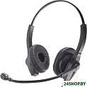 Наушники с микрофоном Accutone WB610 RJU