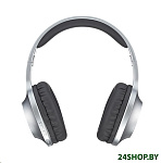 Картинка Наушники Panasonic RB-HX220BEE-S