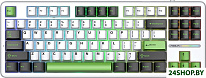 F87 (белый/зеленый/черный)