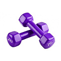 Гантели ARTBELL DB19-2 2x2 кг (фиолетовый)