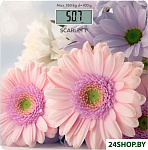 Картинка Напольные весы Scarlett SC-BS33E049