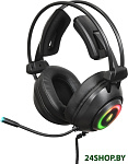 Картинка Наушники с микрофоном OKLICK HS-L830G ASYLUM (черный)