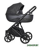 Картинка Универсальная коляска RIKO Nano Pro (2 в 1, 06 carbon)